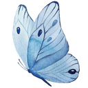 Quranic Butterfly